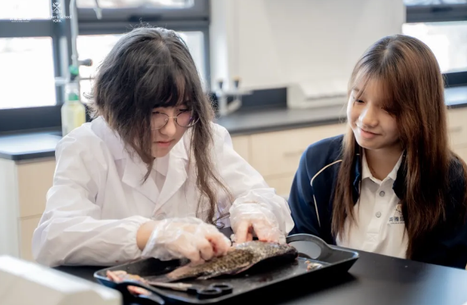 英雅盛彼德新生獎學