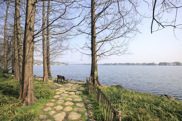 ɽF(xin)(jng)Q(mo)W(xu)У