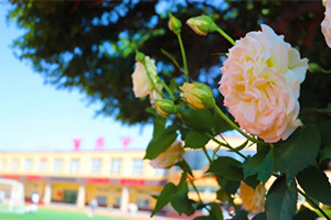 喜報(bào)！三河市燕橋?qū)W校高一年級聯(lián)考取得佳績！