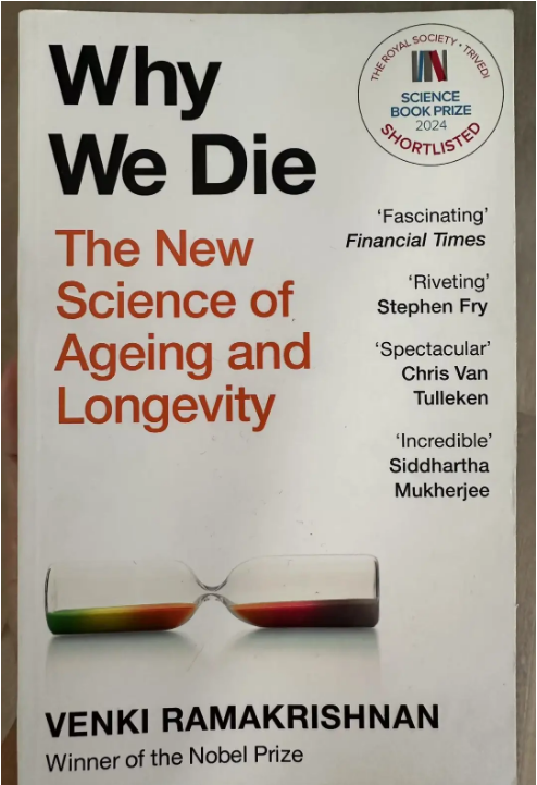 國賢BIC學(xué)部榮譽(yù)UCL畢業(yè)生訪談