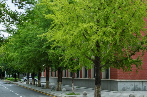 沈陽(yáng)國(guó)際高中一年多少錢