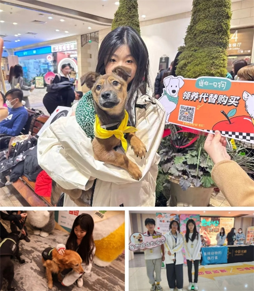 愛(ài)迪畢業(yè)生系列|陳潔