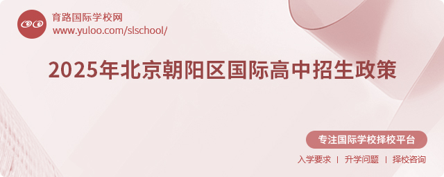 2025年北京朝陽區(qū)國際高中招生政策