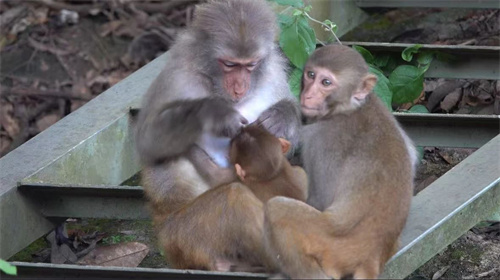 北京赫德學(xué)校學(xué)生專(zhuān)訪