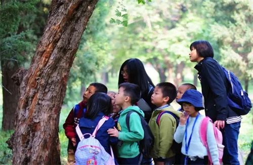 北京一土致知學校轉學生