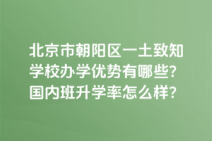 北京市朝陽區(qū)一土致知學校辦學優(yōu)勢有哪些？國內班升學率怎么樣？