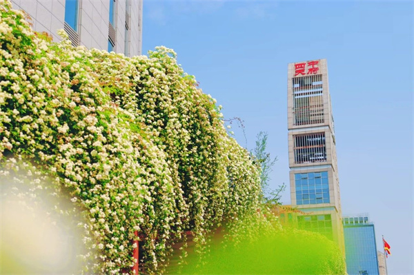 成都石室天府中學(xué)國(guó)際部招生簡(jiǎn)章