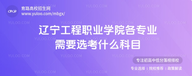 遼寧工程職業(yè)學(xué)院選科科目