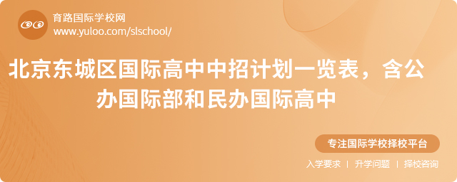 2025年北京東城區(qū)國際高中中招計(jì)劃一覽表