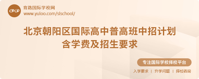 2025年北京朝陽區(qū)國際高中普高班中招計劃