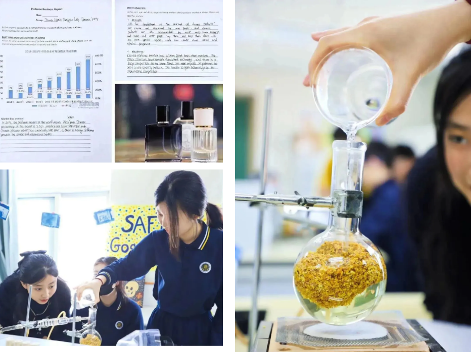 新府學(xué)初小部澳大利亞科學(xué)測評成績