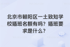 北京朝陽區(qū)一土致知學校插班名額有嗎？插班要求是什么？