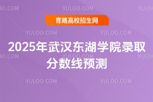 2025年武漢東湖學(xué)院錄取分?jǐn)?shù)線預(yù)測