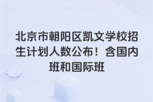2025年北京市朝陽區(qū)凱文學校招生計劃人數公布！含國內班和國際班