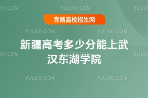 2025年新疆高考多少分能上武漢東湖學(xué)院？近三年分?jǐn)?shù)線及位次分析