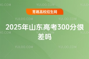 2025ɽ|߿300֣ĲW(xu);Ȼ