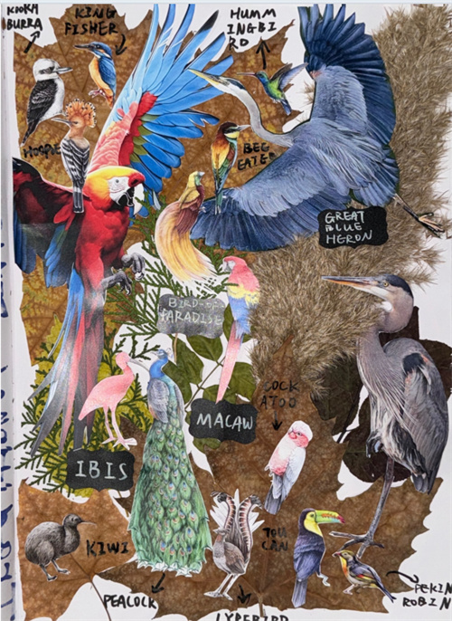 天津法拉古特學(xué)校錄取