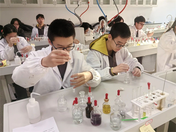 朝陽凱文普高招生簡章