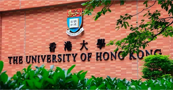 DSE憑什么成為中產(chǎn)家庭逆襲名校的“黃金密碼”