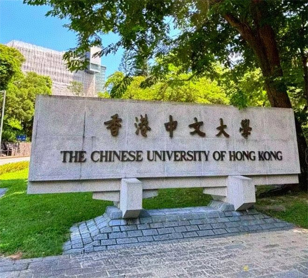 DSE憑什么成為中產(chǎn)家庭逆襲名校的“黃金密碼”