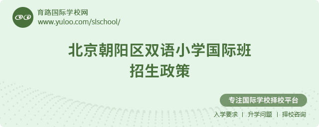 2025年北京朝陽區(qū)雙語小學國際班招生政策