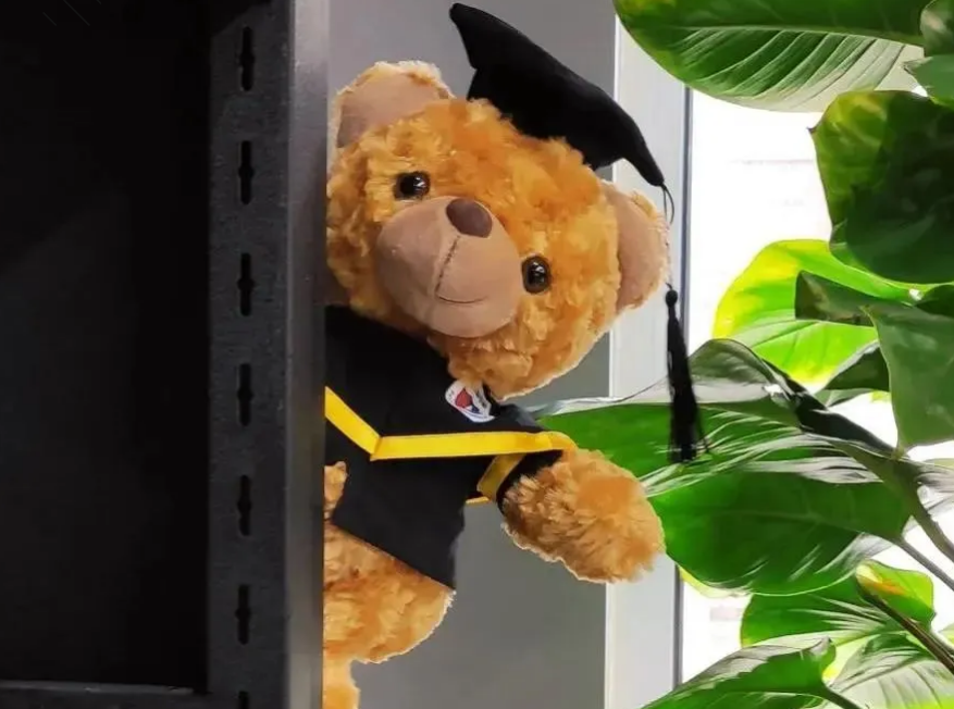 英領(lǐng)開放日