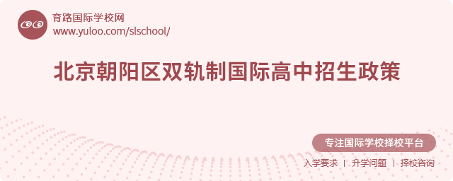 2025年北京朝陽區(qū)雙軌制國際高中招生政策