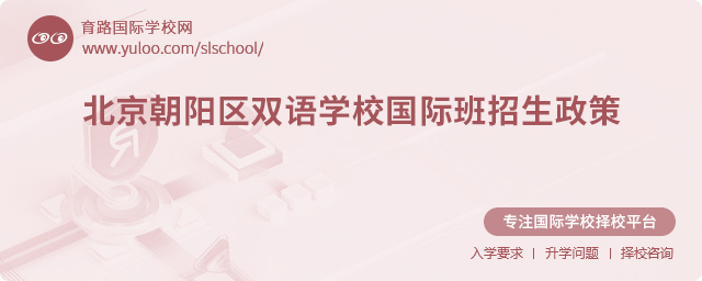 2025年北京朝陽區(qū)雙語學(xué)校國(guó)際班招生政策