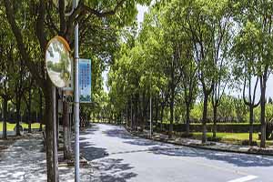 全國高速鐵路客運服務專業(yè)排名前十的學校