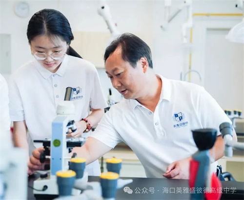 英雅盛彼德普高優(yōu)勢