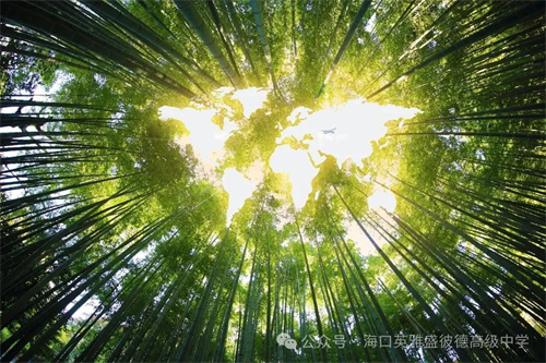 英雅盛彼德普高優(yōu)勢