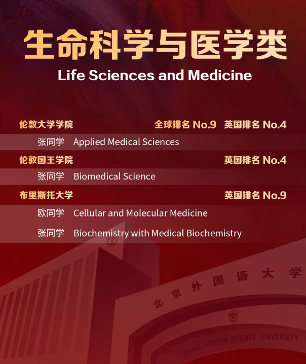 北外ICC名校Offer