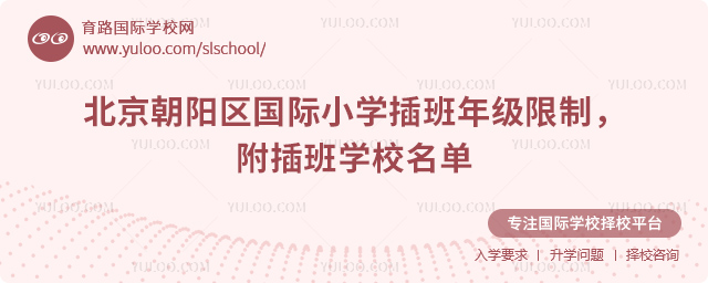 2025-2026第一學(xué)期北京朝陽區(qū)國際小學(xué)插班年級限制
