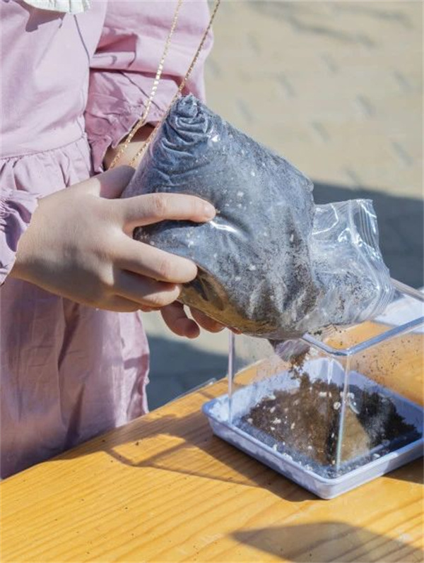 朝陽凱文學前班課堂體驗