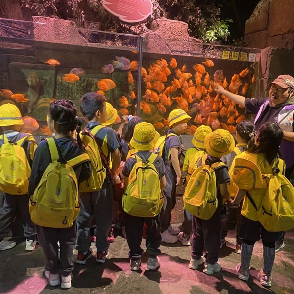 朝陽凱文學前班課堂體驗