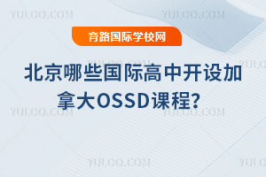 2025걱Щ(gu)H_(ki)O(sh)ôOSSDṇ