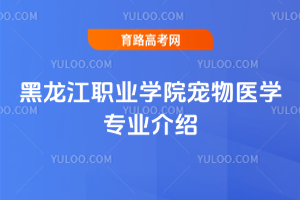 I(y)W(xu)Ժt(y)W(xu)I(y)B