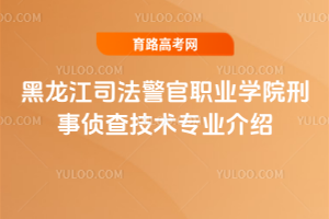 ˾I(y)W(xu)Ժɲ鼼g(sh)I(y)B