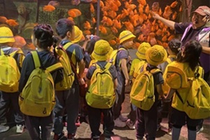 ꖄPČW(xu)ǰnwֵ(yu)!