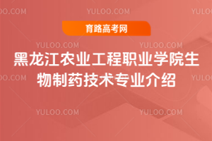 r(nng)I(y)I(y)W(xu)Ժˎg(sh)I(y)B