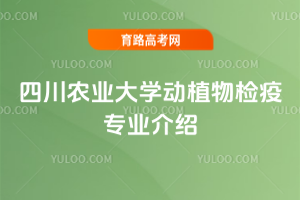 Ĵr(nng)I(y)W(xu)(dng)ֲzߌ(zhun)I(y)B