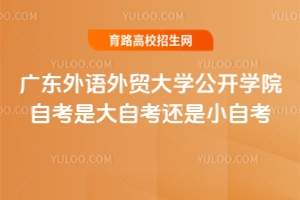 廣東外語外貿(mào)大學公開學院自考是大自考還是小自考？
