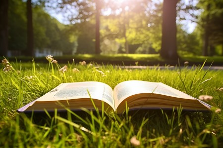 燕郊私立初中排名及收費標準一覽