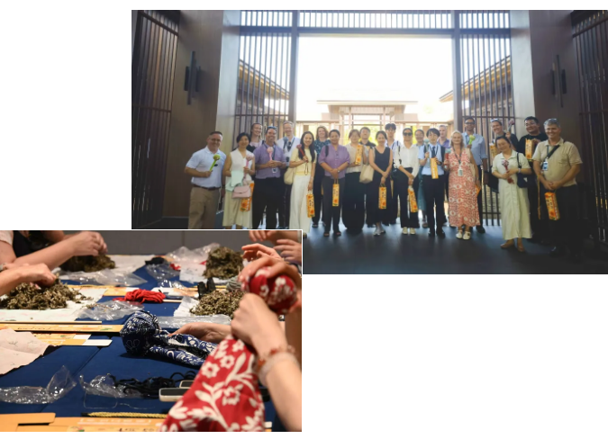 成都墨爾文教師