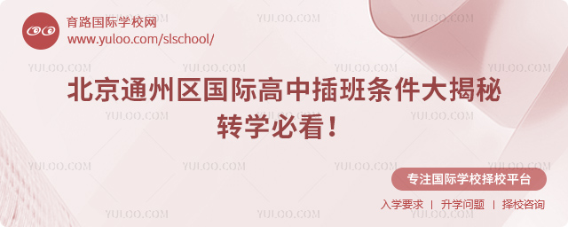 2025年秋季北京通州區(qū)國際高中插班條件