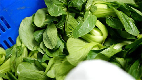 天津法耀高級(jí)中學(xué)食品安全