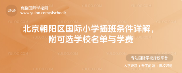 北京朝陽區(qū)國際小學插班條件詳解,附可選學校名單與學費