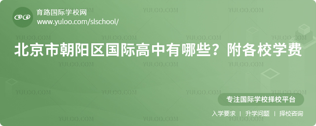 2026年北京市朝陽區(qū)國際高中有哪些