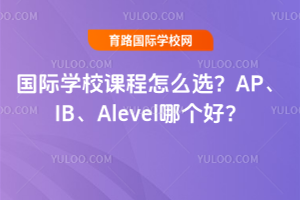 HW(xu)УnôxAPIBAlevelĂ