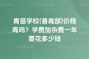 青苗學校(普高部)價格高嗎？學費加雜費一年要花多少錢